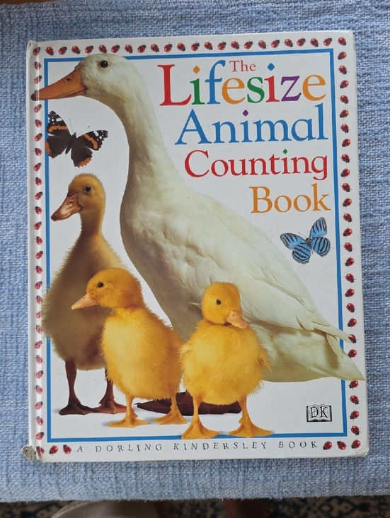 Other - The Lifesize Animal Counting Book - White & Yellow Cover